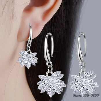 

2019 new 925 silver Earrings Female Crystal from New woman snow glob name earrings Twins micro set hot Fine jewelry