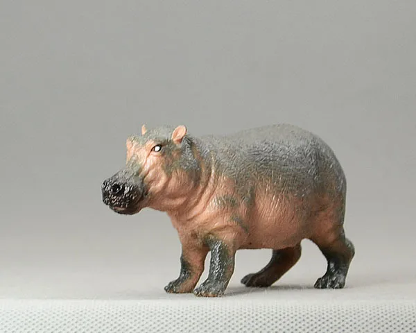 Animas! Super fine animal model hippo model Collec...