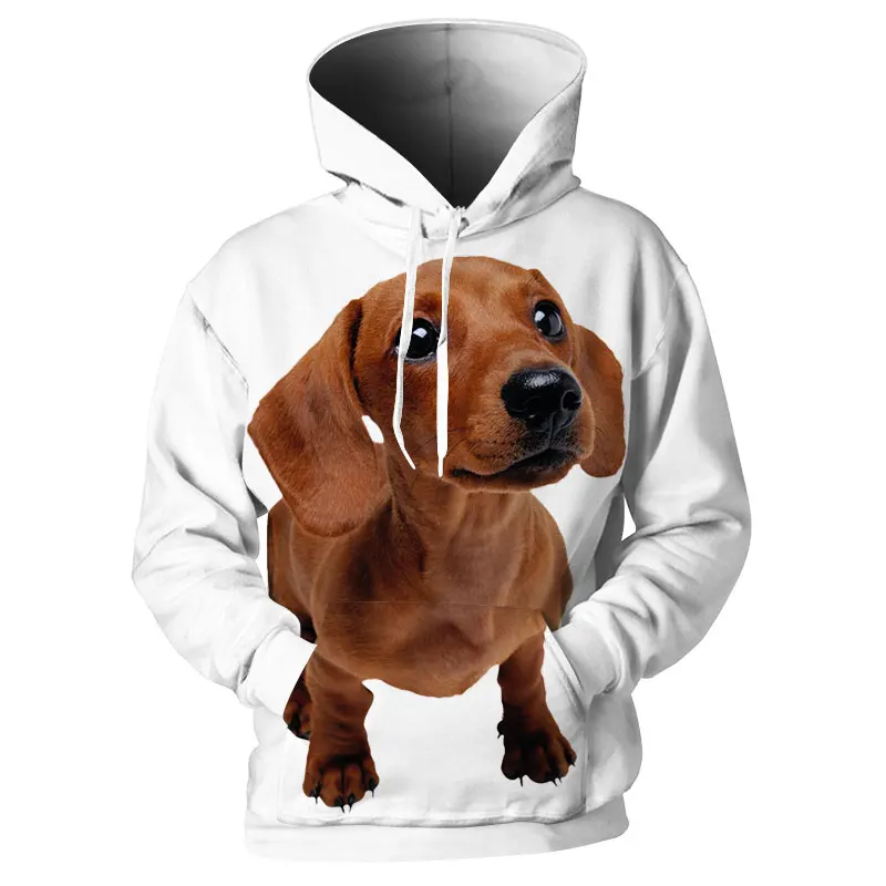 Cloudstye Funny Dog Printed Men Casual Hoodies 3D Animal Sweatshirts Puppy Labrador Tracksuits