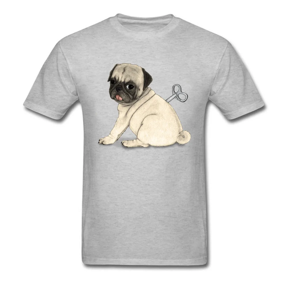 Toy Dog; Pug_grey
