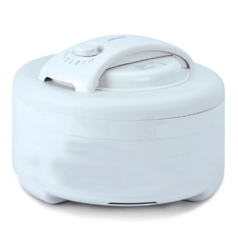 fruit drier