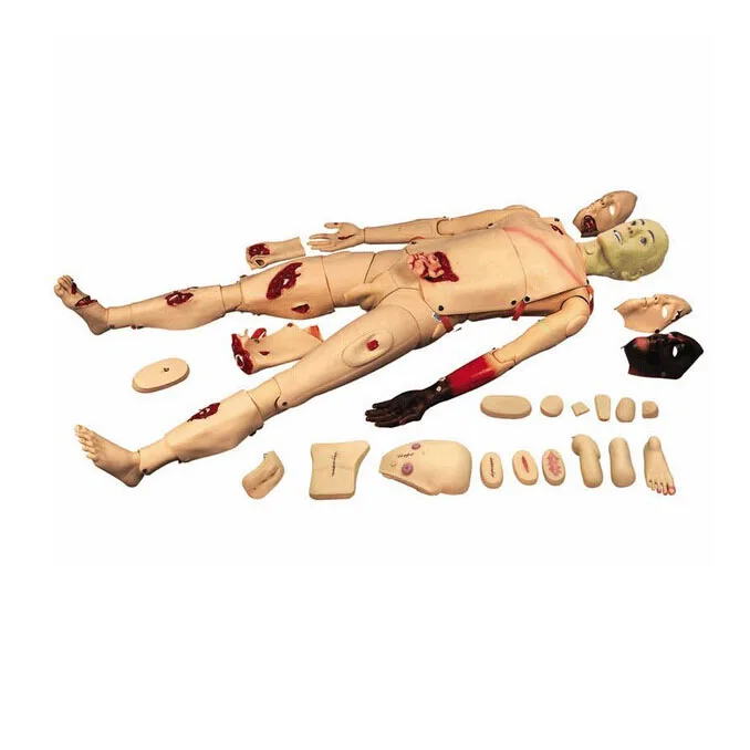 

BIX-H111 The full function trauma nursing manikin wound nursing simulator