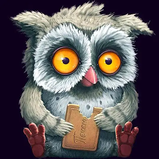 Beautiful Little Owl