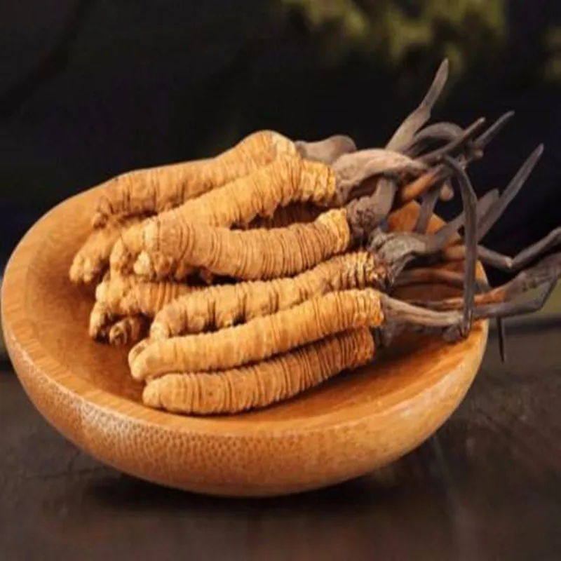 

Cordyceps sinensis extract powder Regulation of immune system function, anti-cancer, anti-fatigue and other functions