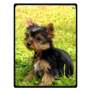 

Fashion Yorkshire Terrier Pattern Summer Air Conditioner Blankets Soft Coral Fleece Throw Blanket Winter Bedding