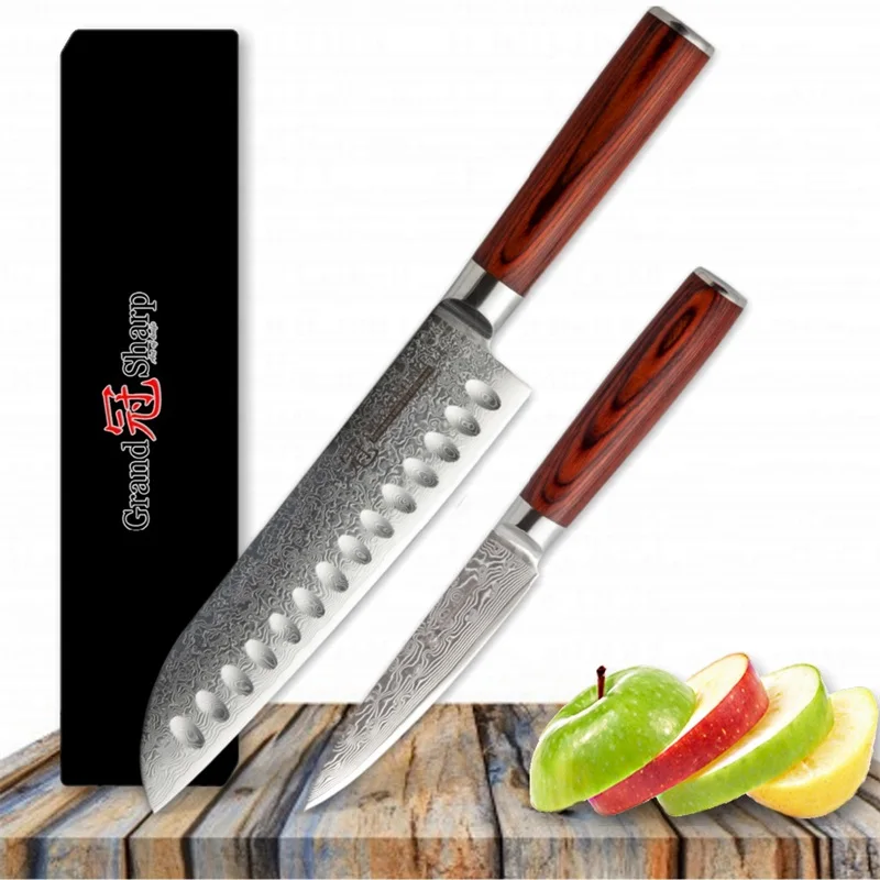 

Grandsharp 2 Pcs Kitchen Knife Set 67 Layers Damascus Japanese Steel VG10 Santoku Paring Knives Cooking Tools with Gift Box