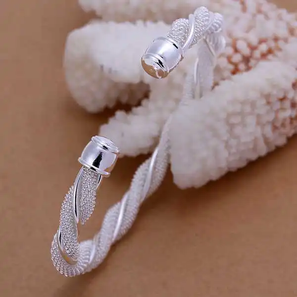 Fashion Silver color Twisted wire mesh Bangle Bracelet for Women Jewelry Factory Price SMTB020 4