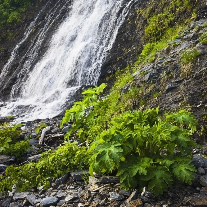 Waterfall In Shoup Bay State Marine Park  Prince William Sound  Southcentral Alaska  Summer Poster Print (24 x 38)
