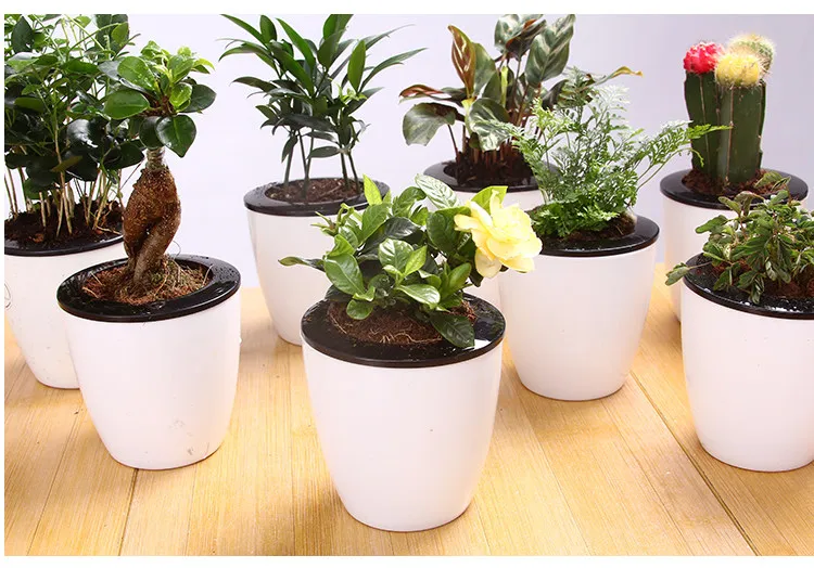 

Automatic Self Watering Flower Plants Pot Put In Floor Irrigation For Garden Indoor Home Decoration Gardening