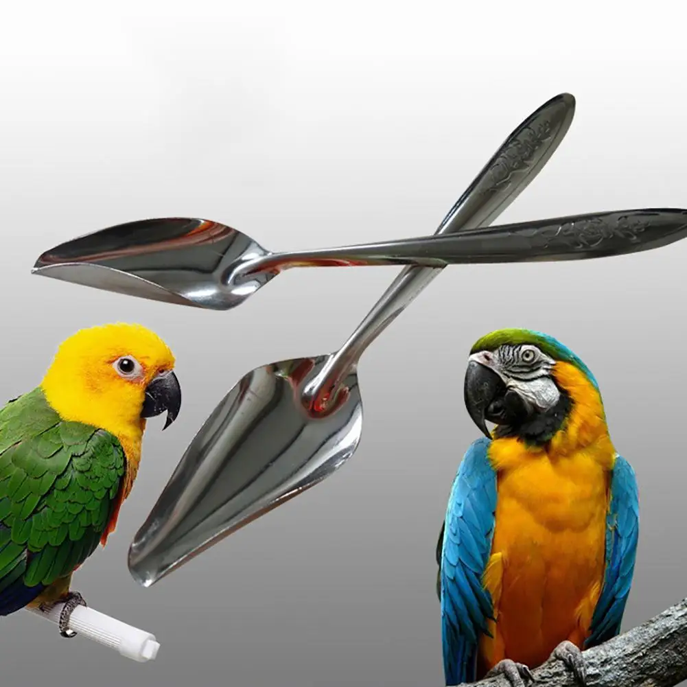 

1Pc Durable Metal Pet Bird Parrot Feeding Food Milk Powder Spoon Accessory Tool Hot