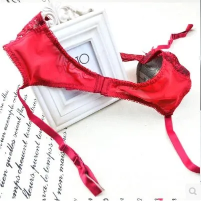 Garter (2)
