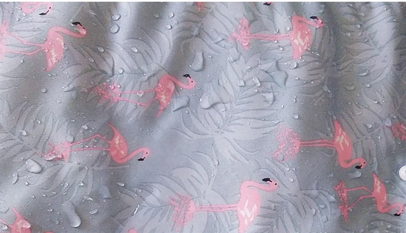 9036871192_969215960