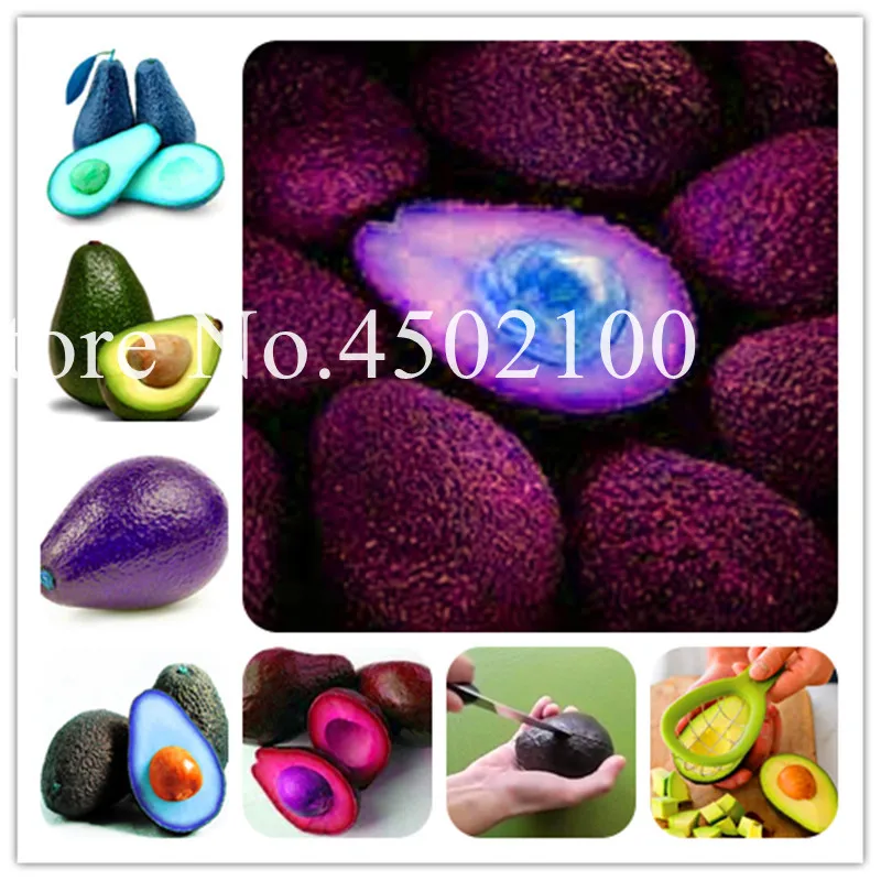 

2 Pcs Mixed Avocado Bonsai, Delicious Fruit Tree Easy Grow Home Garden Sweet Organic Fruta Vegetable Pot Courtyard Seedsplants