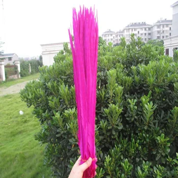 

Hot 100 / a lot of beautiful rose pheasant feathers 20-22 inches / 50-55 cm Free Shipping