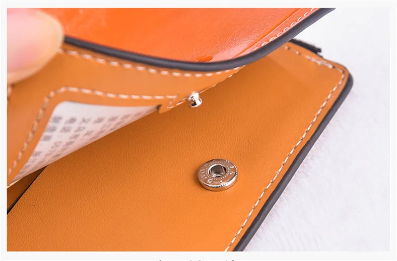 8687623336_645237267