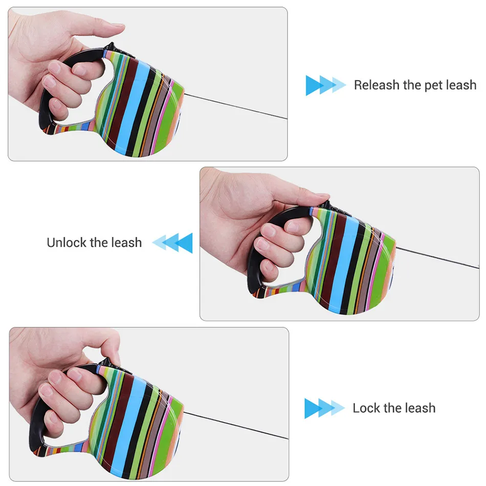 cat walking leash dog