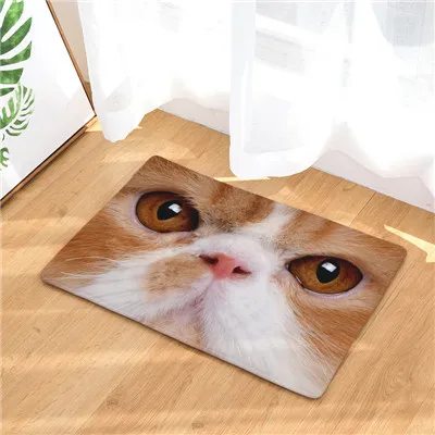 11 Придверные коврики с рисунком кота, коврики для кухни, ванной комнаты, 40X60or50x80cm - Цвет: 11