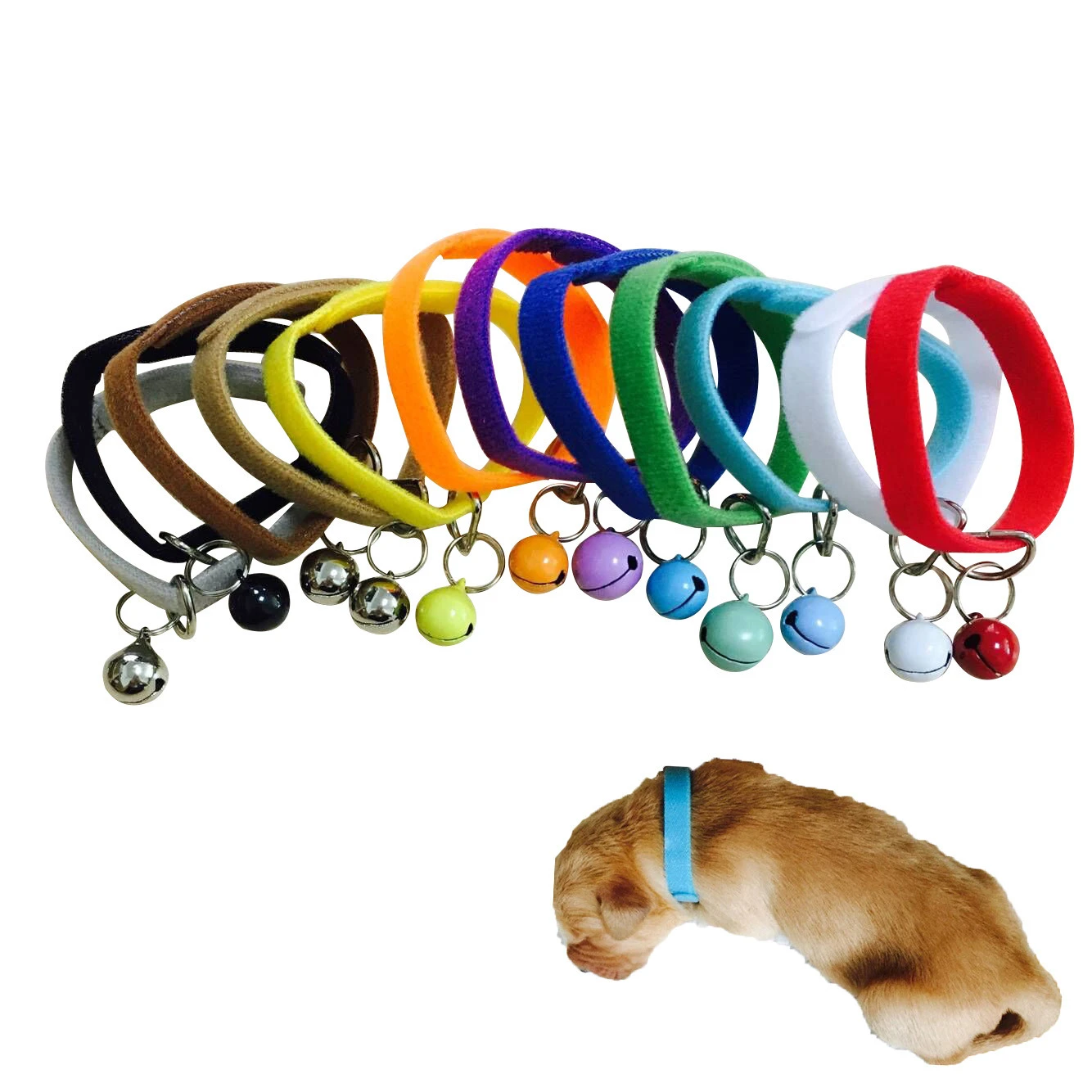 Collar ajustable para perro con para recién nacido, banda para identificación de cachorro con campana, accesorios para mascotas, 12 unids/set por juego|dog collar|adjustable collarcollar with bell - AliExpress