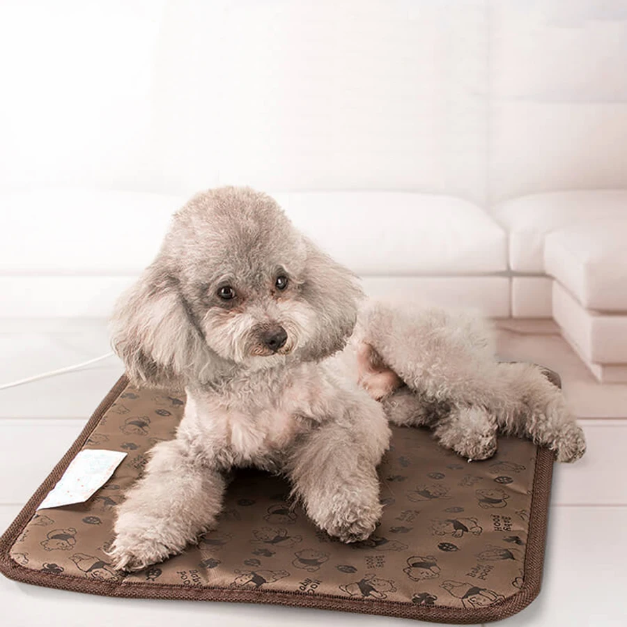 

Electrical Waterproof Pet Chair Heater Animals Heaters Pet plush Keep-warming Electric Mini Heated Blanket for Chair and Floor