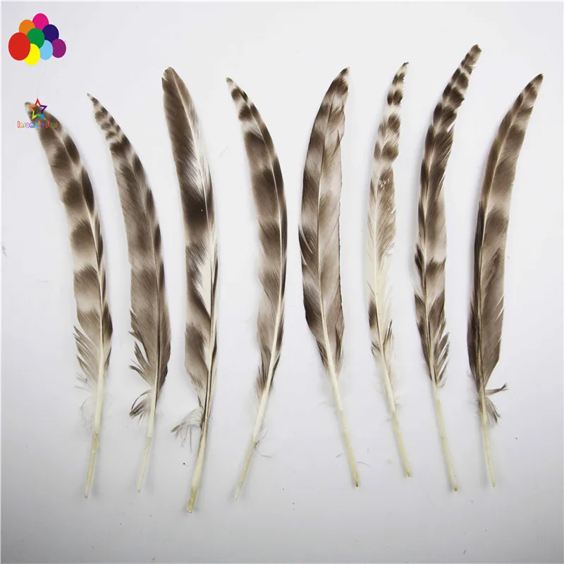 

Z & Q & Y 100 rare natural 15-25CM (6-10 inches) eagle feather DIY decorative accessories precious collection