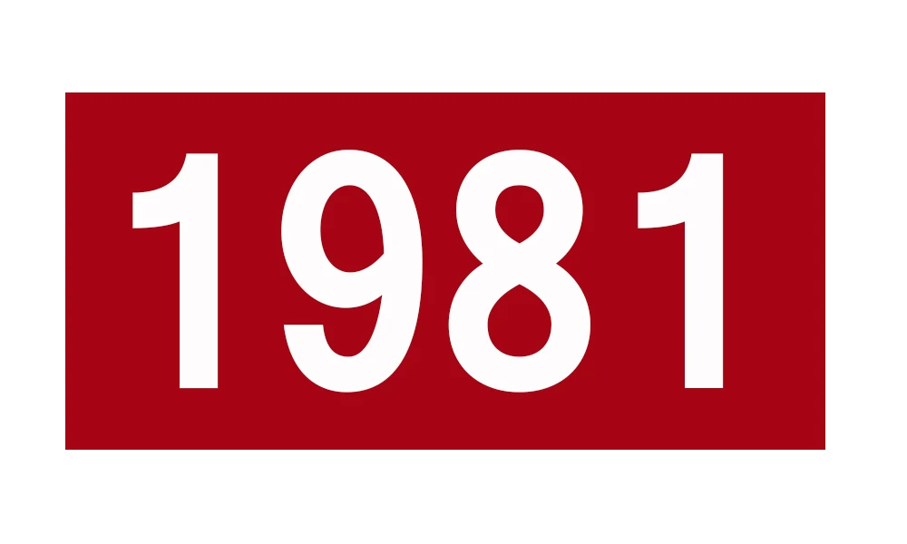 1980 летняя футболка с коротким рукавом, большие размеры, diy1981- с цифровым принтом, повседневные модные футболки в стиле Харадзюку - Цвет: 1981