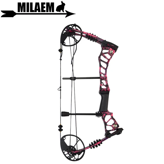 US $192.79 1Set 40-60lbs Archery Compound Bow Red Camo Adjustable Arrows Hunting Shooting Target Accessory