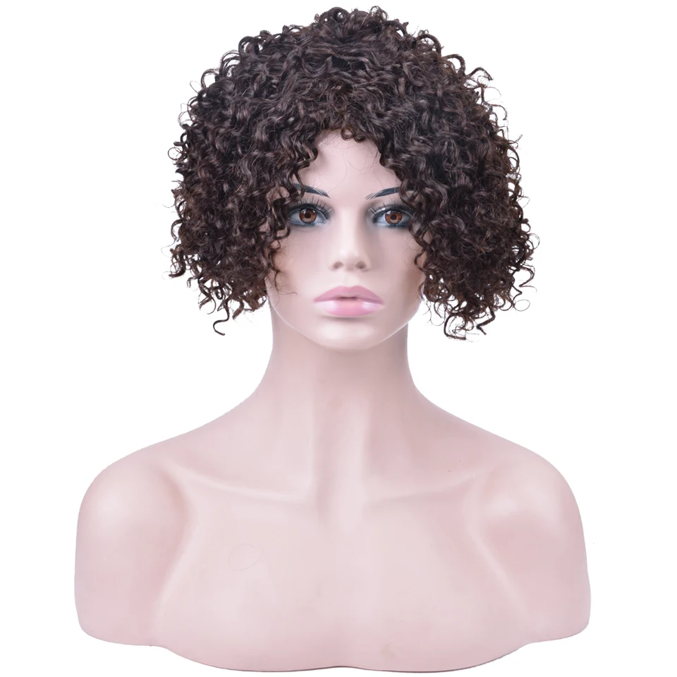 Jerry Curly Human Hair Wigs Short Human Hair Wigs 150% Density Remy Brazilian Human Hair Wig For Black Women