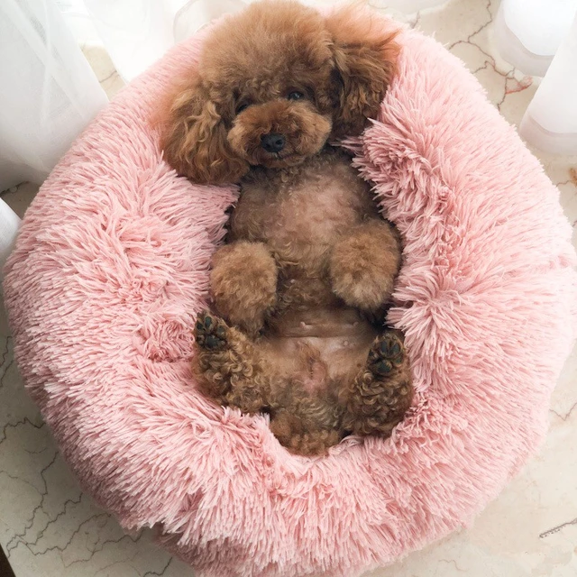 GLORIOUS KEK Base Del Cane di Lusso di Inverno Sonno Profondo Ciambella Pet Lett GLORIOUS KEK Base Del Cane di Lusso di Inverno Sonno Profondo Ciambella Pet Lett