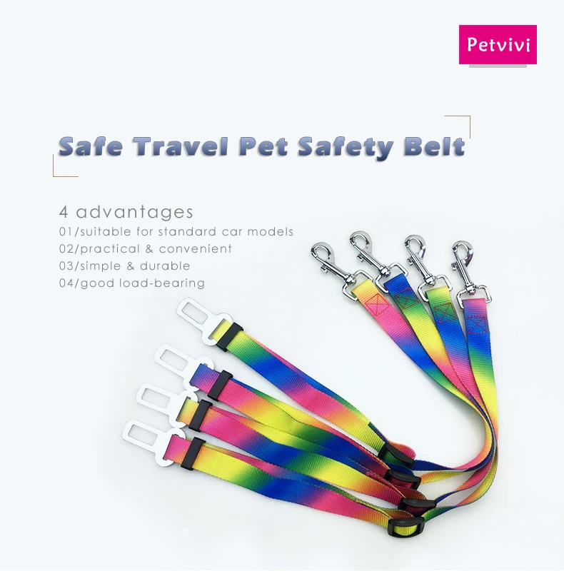 2 dog safety