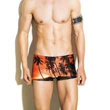 Горячие мужские s одежда для плавания кокосовые деревья пейзаж Печатных Плавки сексуальный мужской костюм для плавания мужские шорты для плавания шорты для серфинга