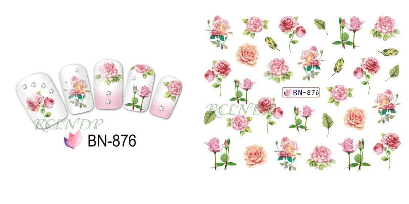 BN-876