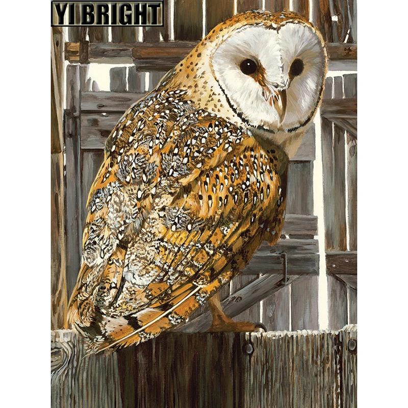 

3D Square/Round Drill,5D DIY Diamond Painting "Beautiful Grey Owl" Diamond Embroidery Cross Stitch Rhinestone Decoration GT
