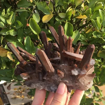 

370g Natural Beautiful QUARTZ Crystal Cluster Specimen