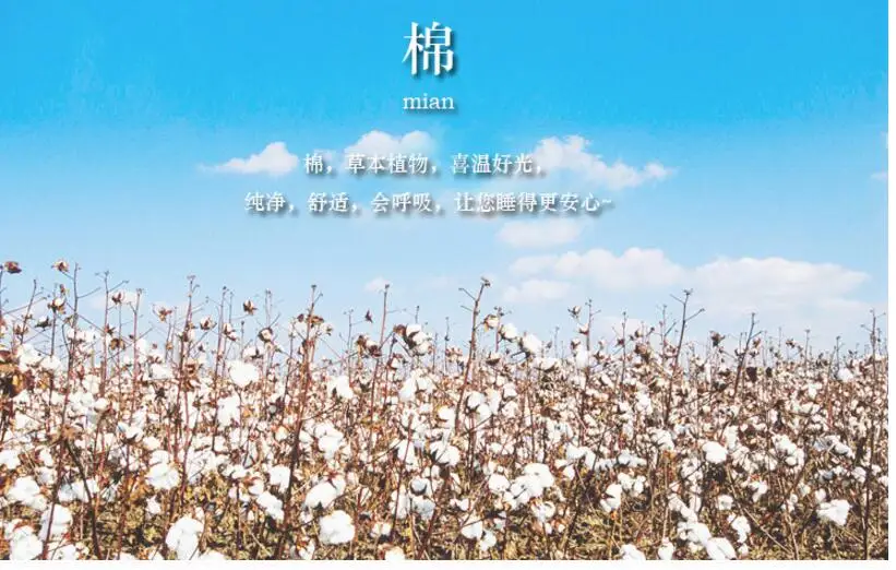 QQ20180128150337