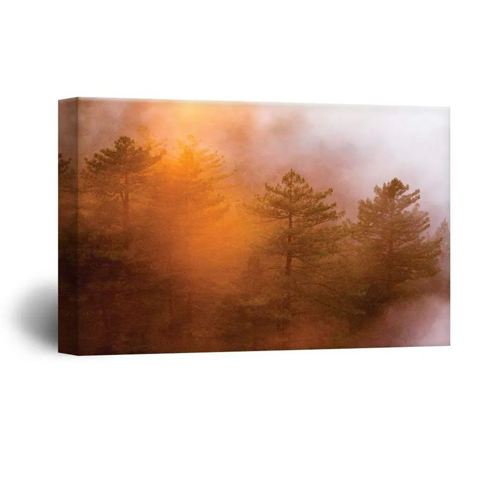 61PNAZZprCL._SL1000_