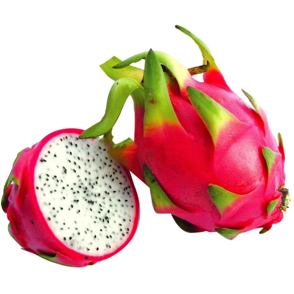 

100 dragon fruit home graden pitaya fruiting