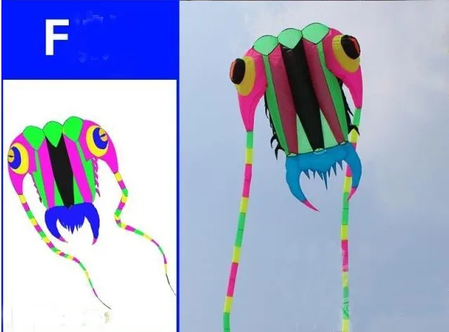 00006
