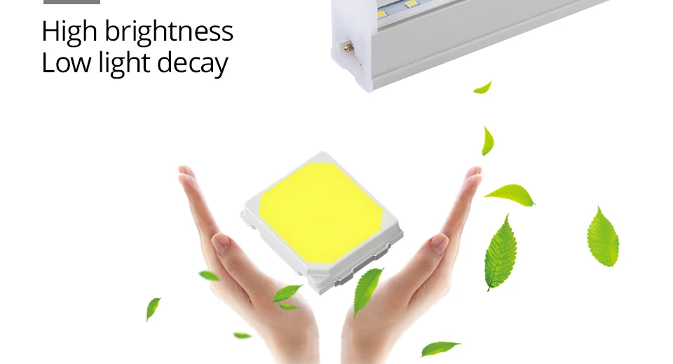 T5 LED Light Bulb (5)