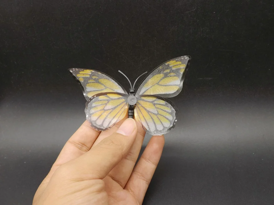 I271-Butterfly (4)