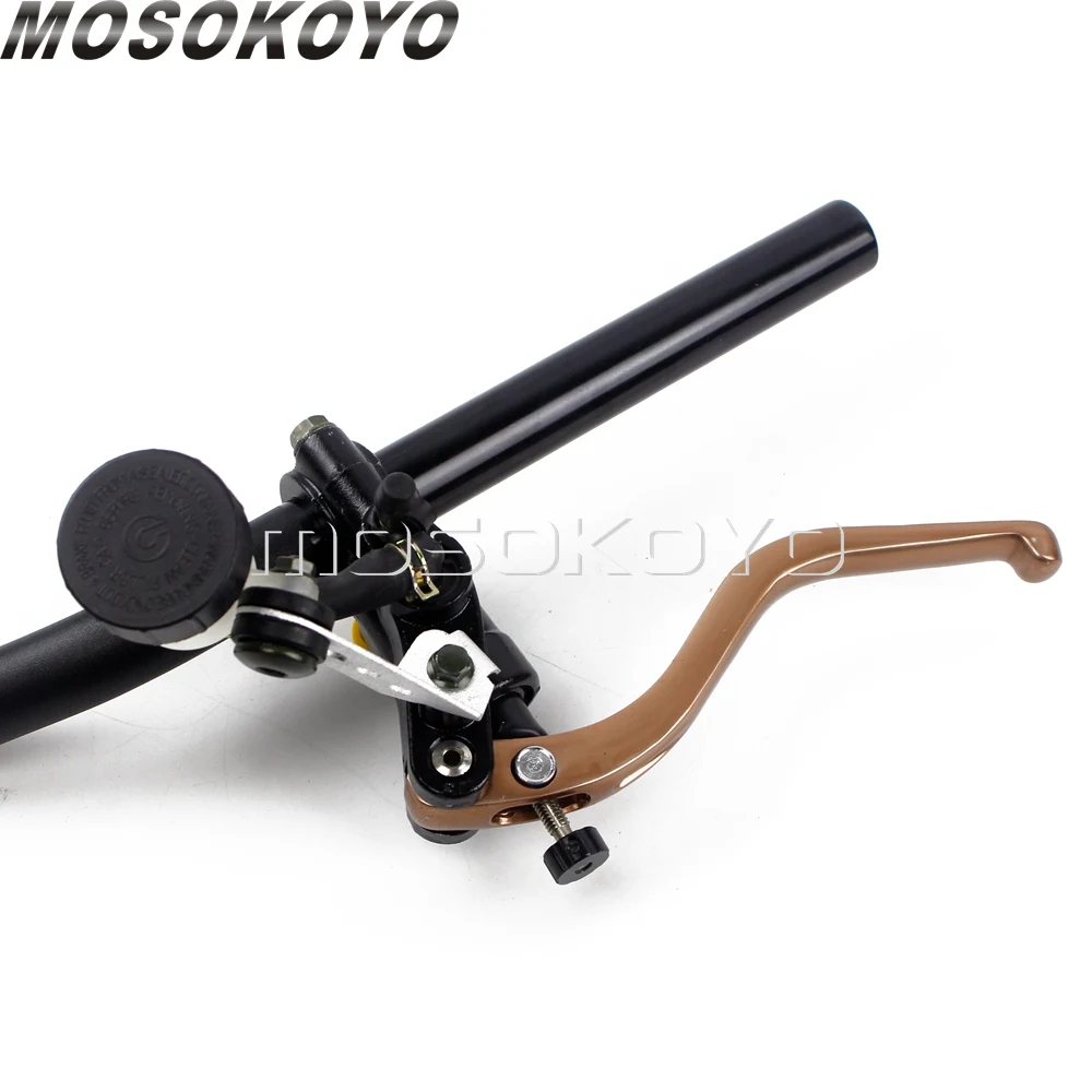 BP-06(12)