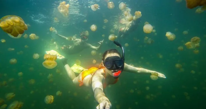 HTB148JpHFXXXXahapXXq6xXFXXXY