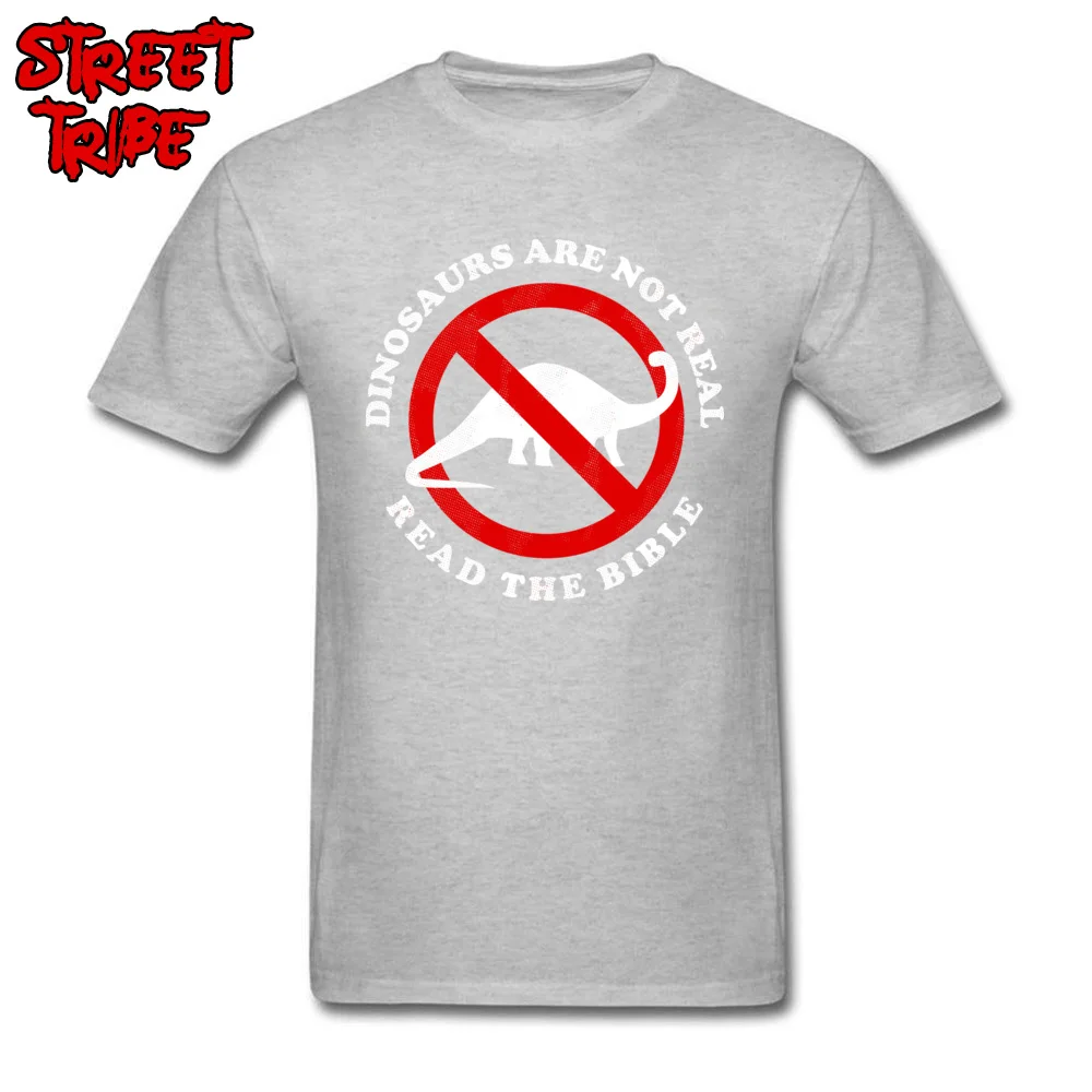 Leisure All Cotton T-shirts for Adult Short Sleeve Slim Fit Tees Wholesale NEW YEAR DAY Crew Neck Tee Shirt Custom Dinosaurs Are Not Real Read The Bible grey