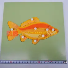 Головоломка с рыбой с Скелет материалы montessori развивающие игрушки Игрушки для маленьких детей для раннего развития дерева 7008