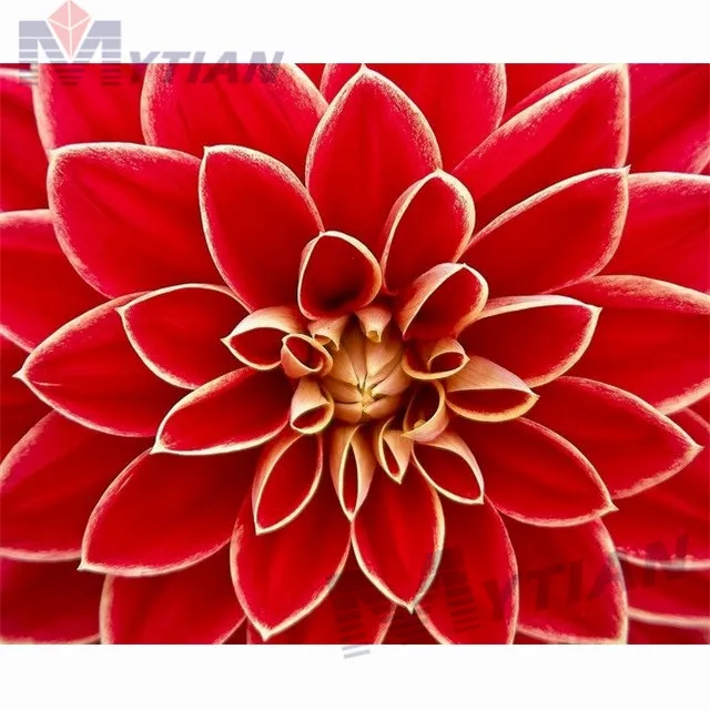 18101614 5D DIY Full Drill Square & Round Diamond Painting Embroidery Set Dahlia Flowers Home Decoration Cross Stitch Mosaic Needlework
