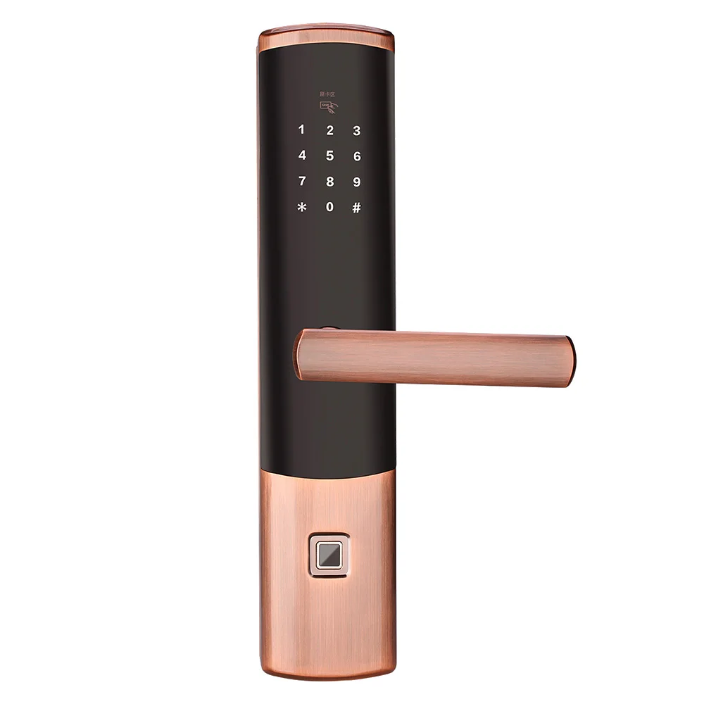 Wi-fi-отпечаток пальца дверной замок, водонепроницаемый электронный дверной замок Интеллектуальный биометрический замок на дверь умный замок отпечатков пальцев с приложением