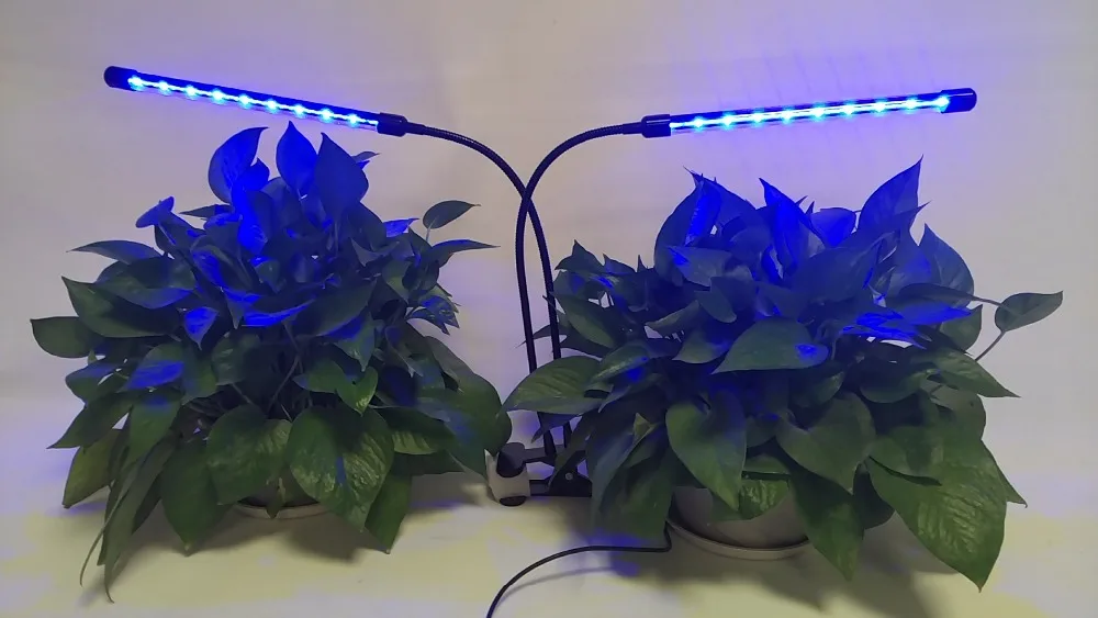 

24W Dual Head Led Grow Light Desk Holder Clip Red Blue Spectrum 3/9/12 timer 3 Switch Modes Indoor Plant flowers Growing Lamps