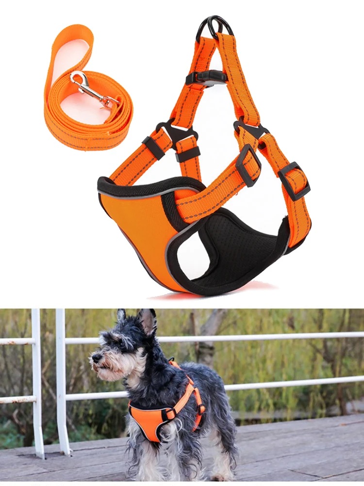 Dog Harness (2a)