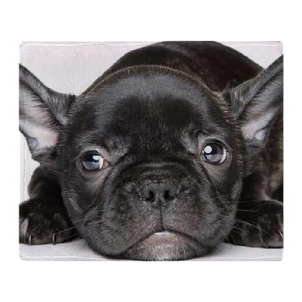 French Bulldog Puppy Lies On A White Soft Fleece Throw Blanket Warm Cozy Bed Couch Lightweight