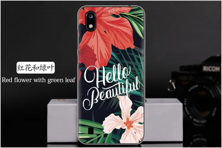 红花和绿叶 Red flower with green leaf