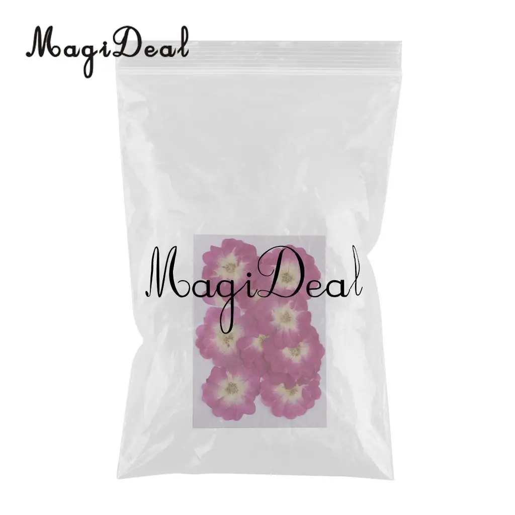 12 Pieces Chinese Rose Pressed Natural Dried Flower for DIY Resin Ornament Candle Making Decoration Purple 3-4cm